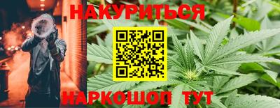 apvp Гай
