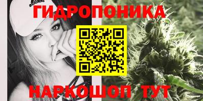 spice Гагарин