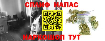 apvp Гай
