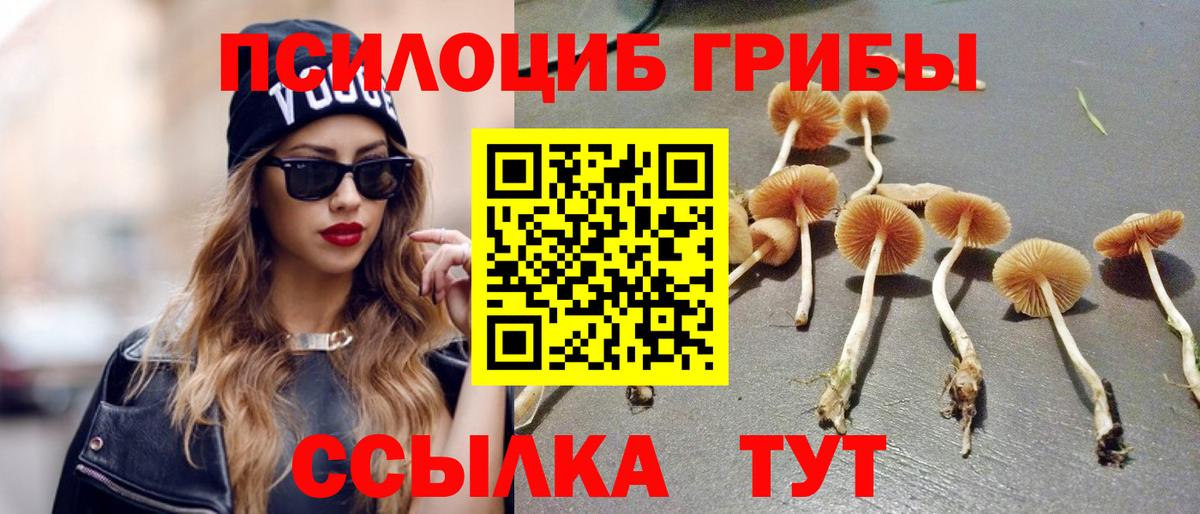 Галлюциногенные грибы MAGIC MUSHROOMS Истра